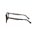 Lateral