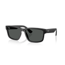 Óculos de sol Ray-Ban RB 4438L 601/87 58-19 140