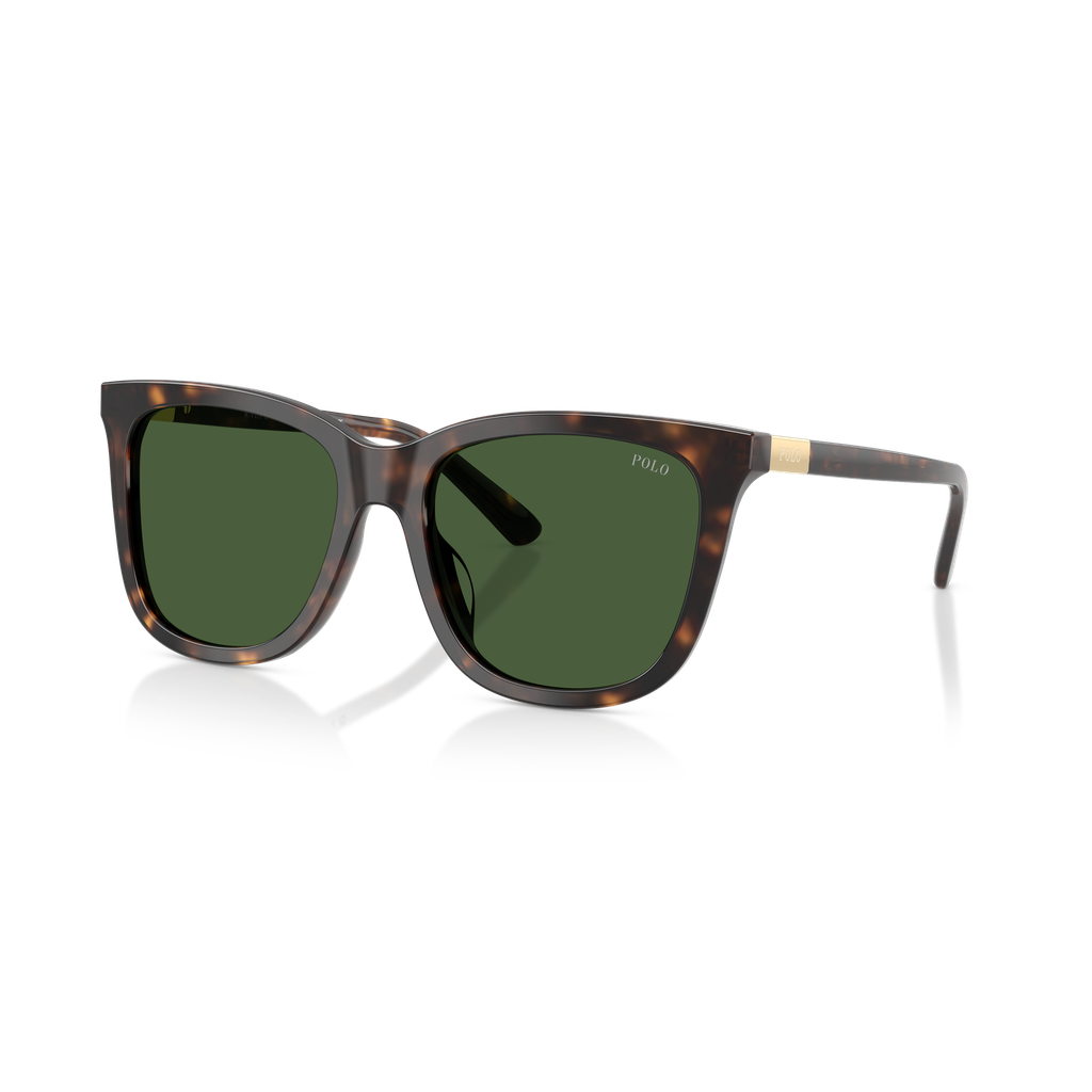 [0PH4201U50037155] Óculos de sol Polo Ralph Lauren PH 4201U 5003/71 55-18 145 3N