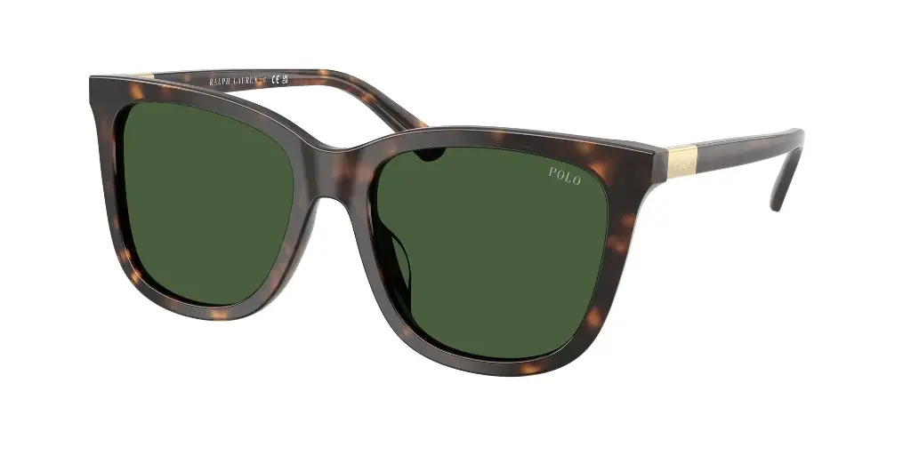 Óculos de sol Polo Ralph Lauren PH 4201U 5003/71 55-18 145 3N