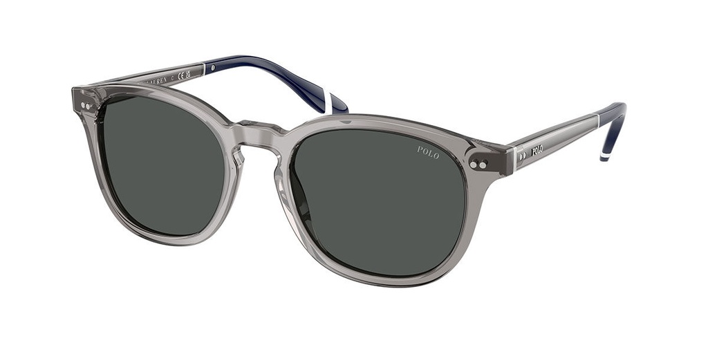 Óculos de sol Polo Ralph Lauren PH 4206 570487 52-20 145