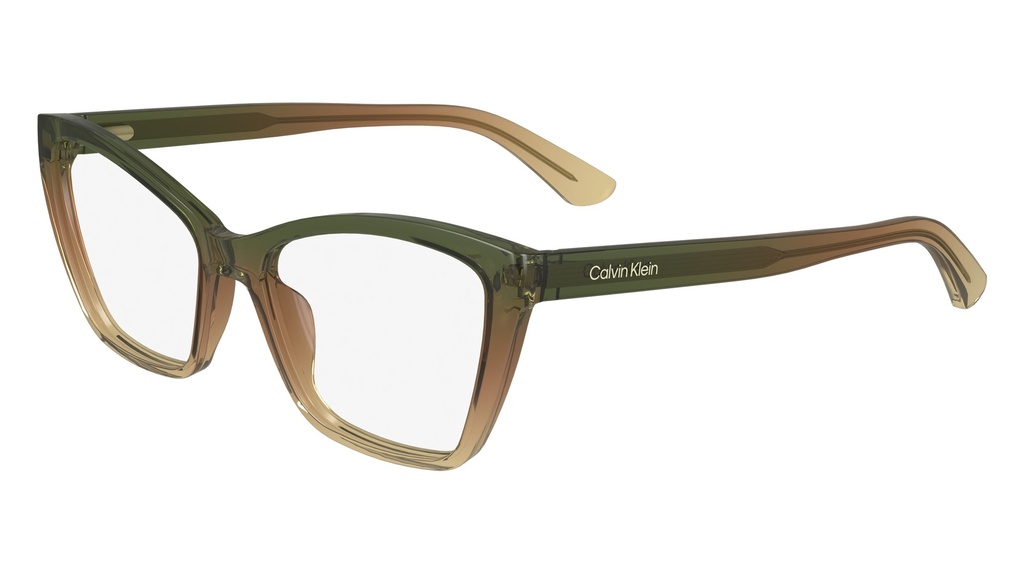 Armação para óculos de grau Calvin Klein CK24523 343 52-16 145