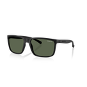 Óculos de sol Arnette AN 4251 290071 58-17 140 3N