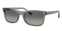Óculos de Sol Ray-Ban RB 2226 6641/71 54-20 145 3N