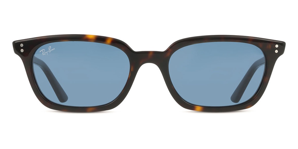 Óculos de Sol Ray-Ban RB 4456 ZAYA 1359/80 53-19 145 2N