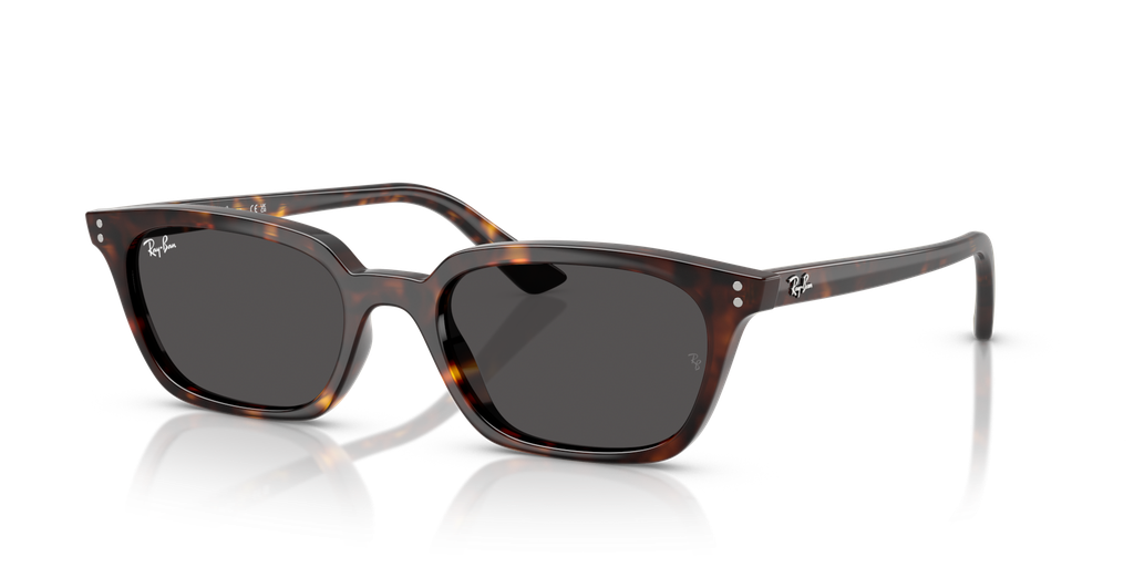 Óculos de Sol Ray-Ban RB 4456 ZAYA 1359/87 53-19 145 3N