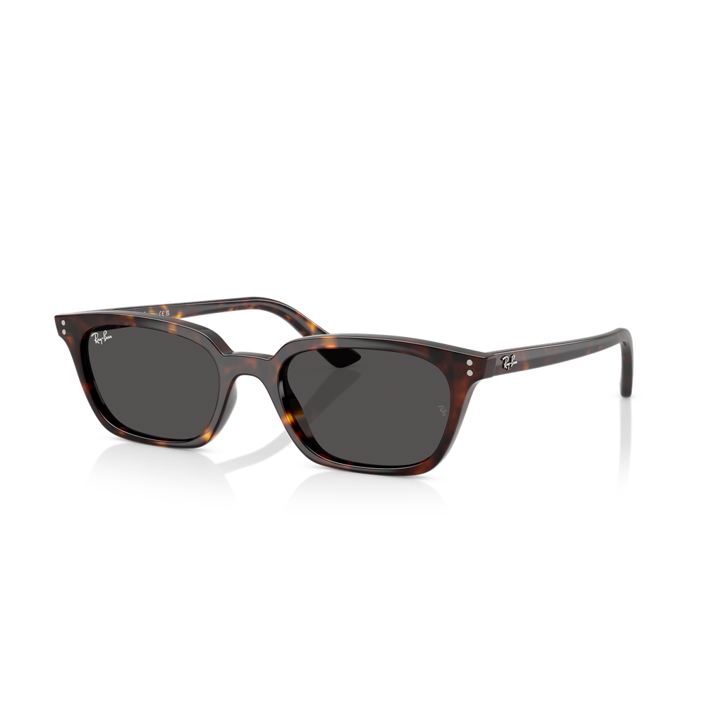 Óculos de Sol Ray-Ban RB 4456 ZAYA 1359/87 53-19 145 3N