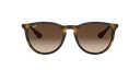 Óculos de sol Ray-Ban RB 4171L ERIKA 865/13 54-18 3N