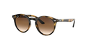 Óculos de sol Ray-Ban RJ 9064S 152/13 44-19 130 3N