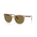 Óculos de sol Ray-Ban RB 4383L 662773 53-21 140 3N