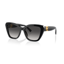 Óculos de sol Ralph Lauren RL 8216U 5001/8G 55-17 145 3N