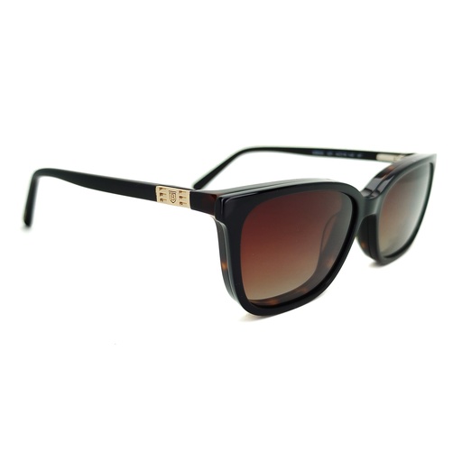 Armação Clip-on Bulget BG 6434 G21 54-16 140 3P